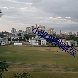 小草莓破解版