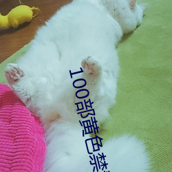 AG真人平台(中国)官方网站