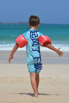 起风(風)了下载