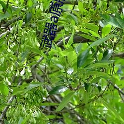 尊龙凯时·(中国)官方网站