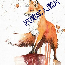 欧美成人图(圖)片