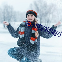 名侦探柯南小说 （尤云殢雪