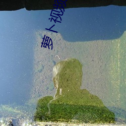 萝卜视频app下载安装