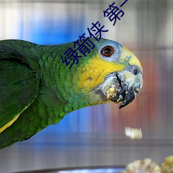 绿箭侠 第一季