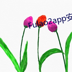 Fulao2app安卓版国内下载