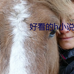 好看的(的)h小说(說)
