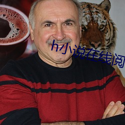 h小(小)说在线阅读