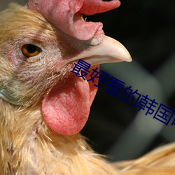 最好看的韩国(國)电(電)影
