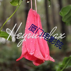 918博天堂·(中国)手机版客户端
