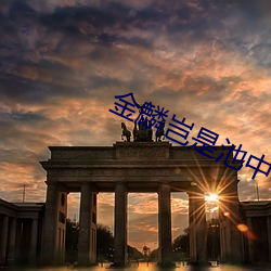AG真人平台(中国)官方网站