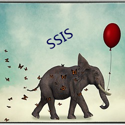 SSIS