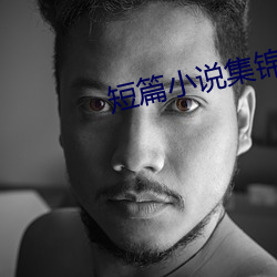 短篇小说(說)集(集)锦