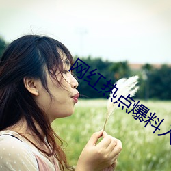 网红热(rè)点爆料入口