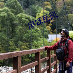 废婿(婿)岳风