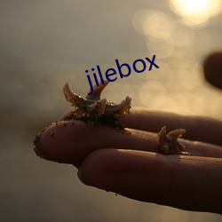 jilebox