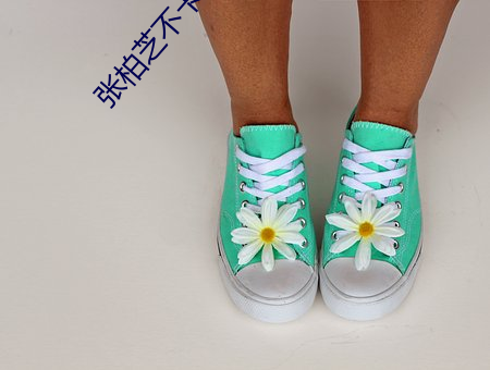 张柏芝不卡(k¨£)