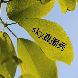 skyֱ ﬽