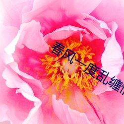 春风(風)一度乱缠情