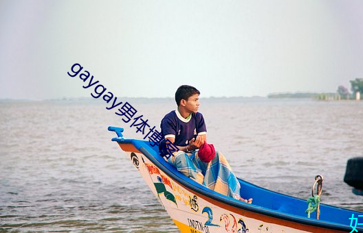 gaygay男(男)体博客