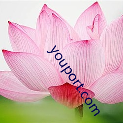 youport.com