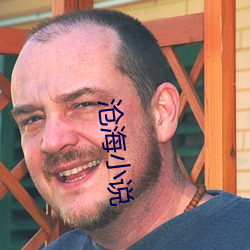 沧海(海)小说(說)