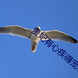 贵妃有心疾得宠(chǒng)着