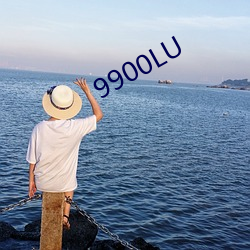 9900LU