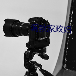 调教家政妇