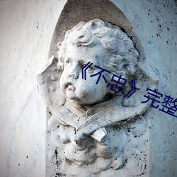 《不(不)忠(忠)完整版