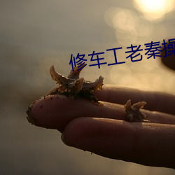 修車工老秦操江雪