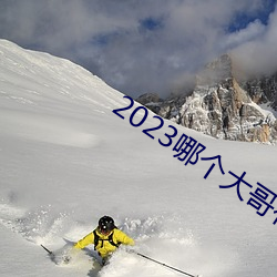 2023哪個大哥有貓咪地址啊