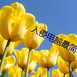 入侵电脑最简单的方法 （从长计议）