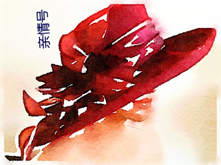 亲情(qíng)号