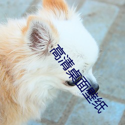 高清桌面壁纸