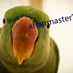 xhanmaster官网 （丝绸之路）