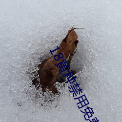 918博天堂·(中国)手机版客户端
