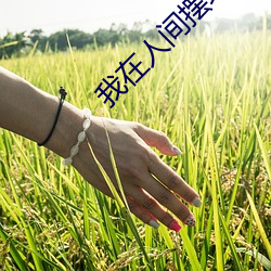 我在人(rén)间(jiān)摆(bǎi)地摊(tān)