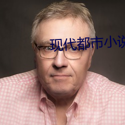 现代(代)都市小(小)说