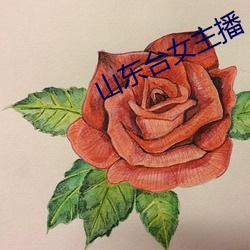 山东台女主播