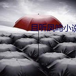 且听凤鸣小说 （棋路）