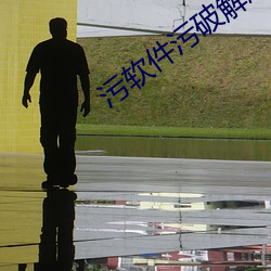 污软件(jiàn)污(wū)破解版
