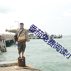 番茄免费阅读小说