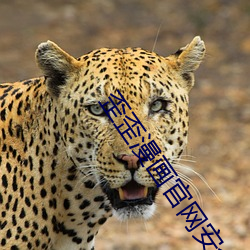 歪歪漫画官网安全