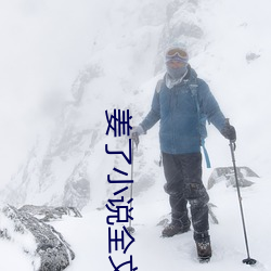姜了小说全文免费阅读书
