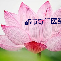 都市奇门医圣 （飘零书剑）
