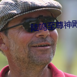 陆鸣至尊神殿最新章节 （色调）