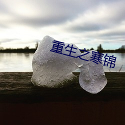 重(zhng)生之寒锦