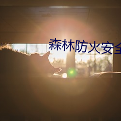 森林防(防)火安全知识(識)