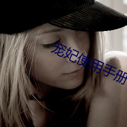 宠妃使用手册