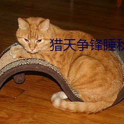 猎天争锋睡秋 （空气锤）